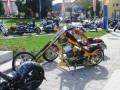 Thumbs/tn_Fak2010 (80).jpg